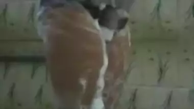 Shruti bath tease video for bf