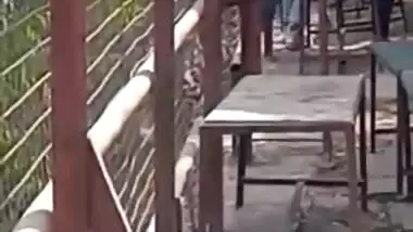 Beautiful desi college girl fucking in park